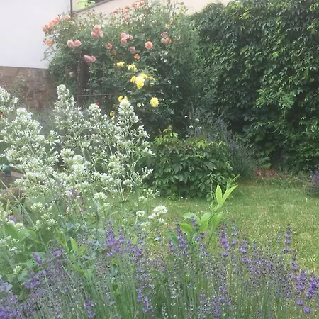 Bed & Breakfast Gaestehaus Luna